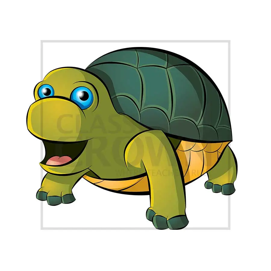Turtle clipart, Box or pond turtle