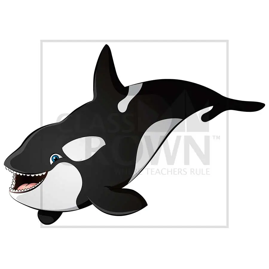 Orca clipart, Black and white killer whale