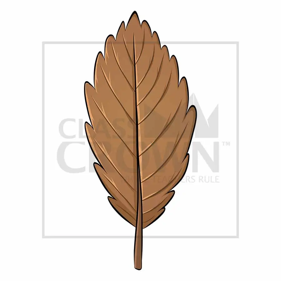 Fall leaf clipart, brown
