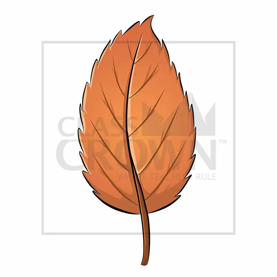 Fall leaf clipart, orange and brown
