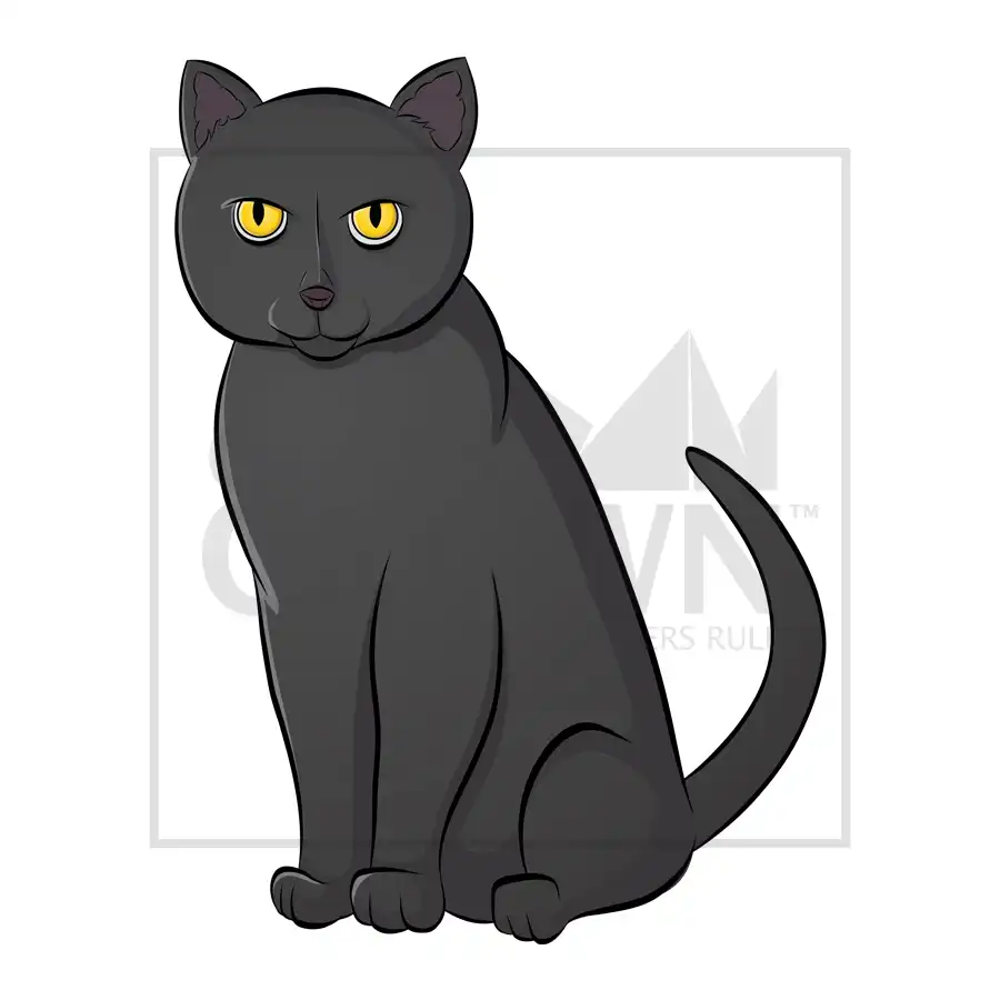 Black Cat clipart