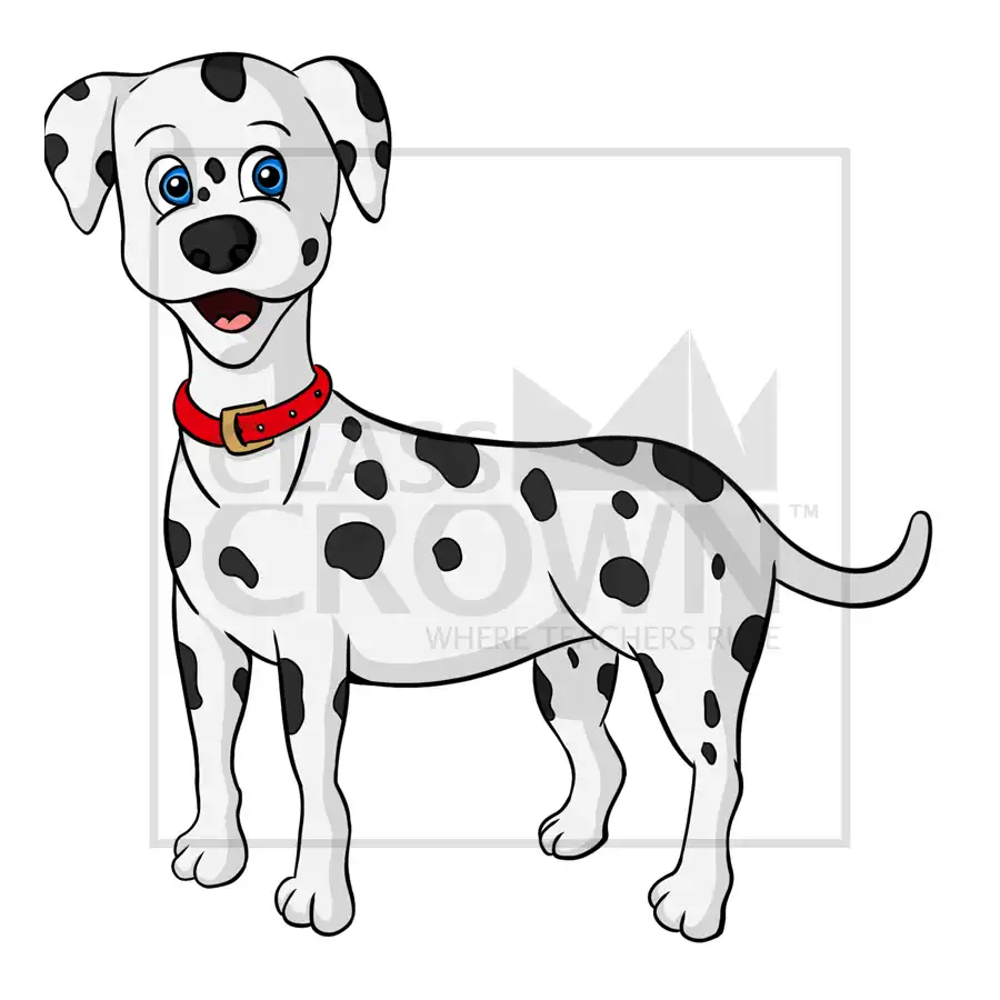 White dog with black spots, red collar