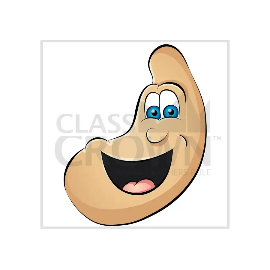 Smiling Cashew clipart