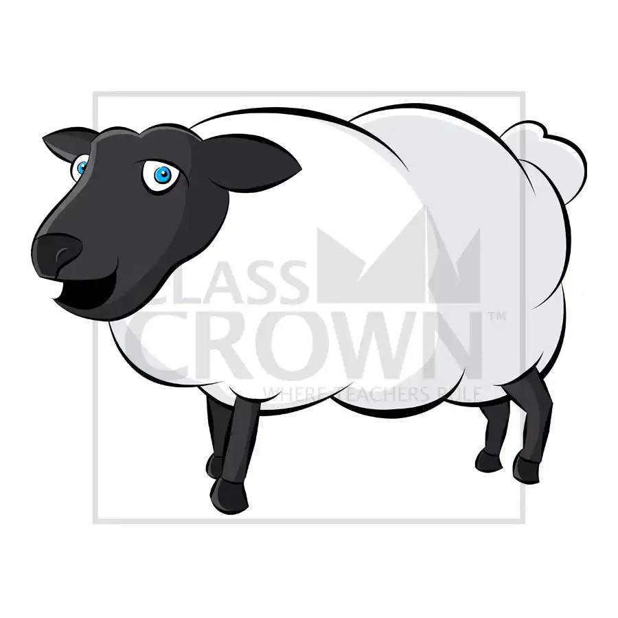 White sheep with black head and legs