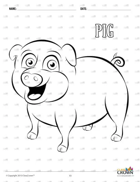 Sample pig coloring page.