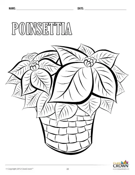 Christmas coloring page, poinsettia.